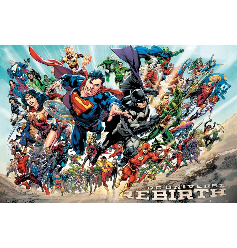 DC UNIVERSE Rebirth Poster...