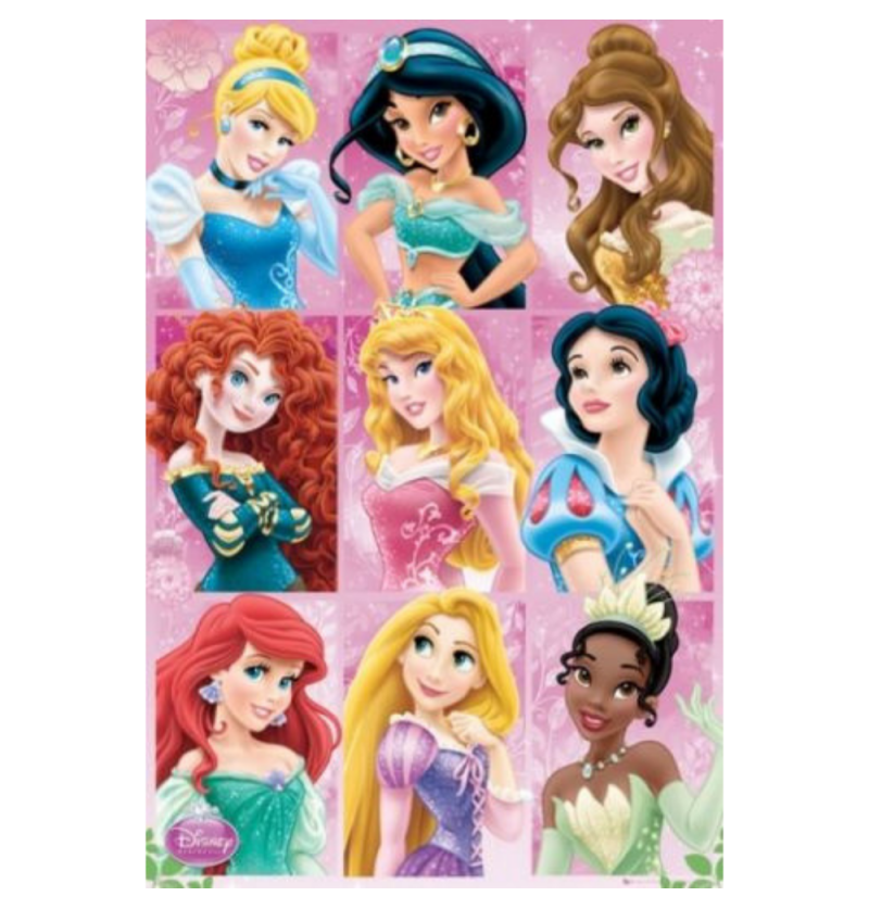 Disney Princesses Poster...