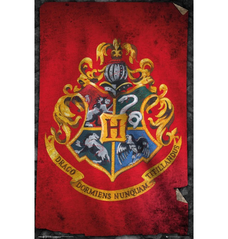 Αφίσα Harry Potter FP3955...